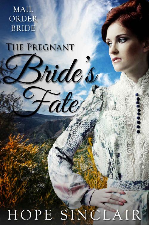 The Pregnant Bride's Fate (Mail Order Brides 09)