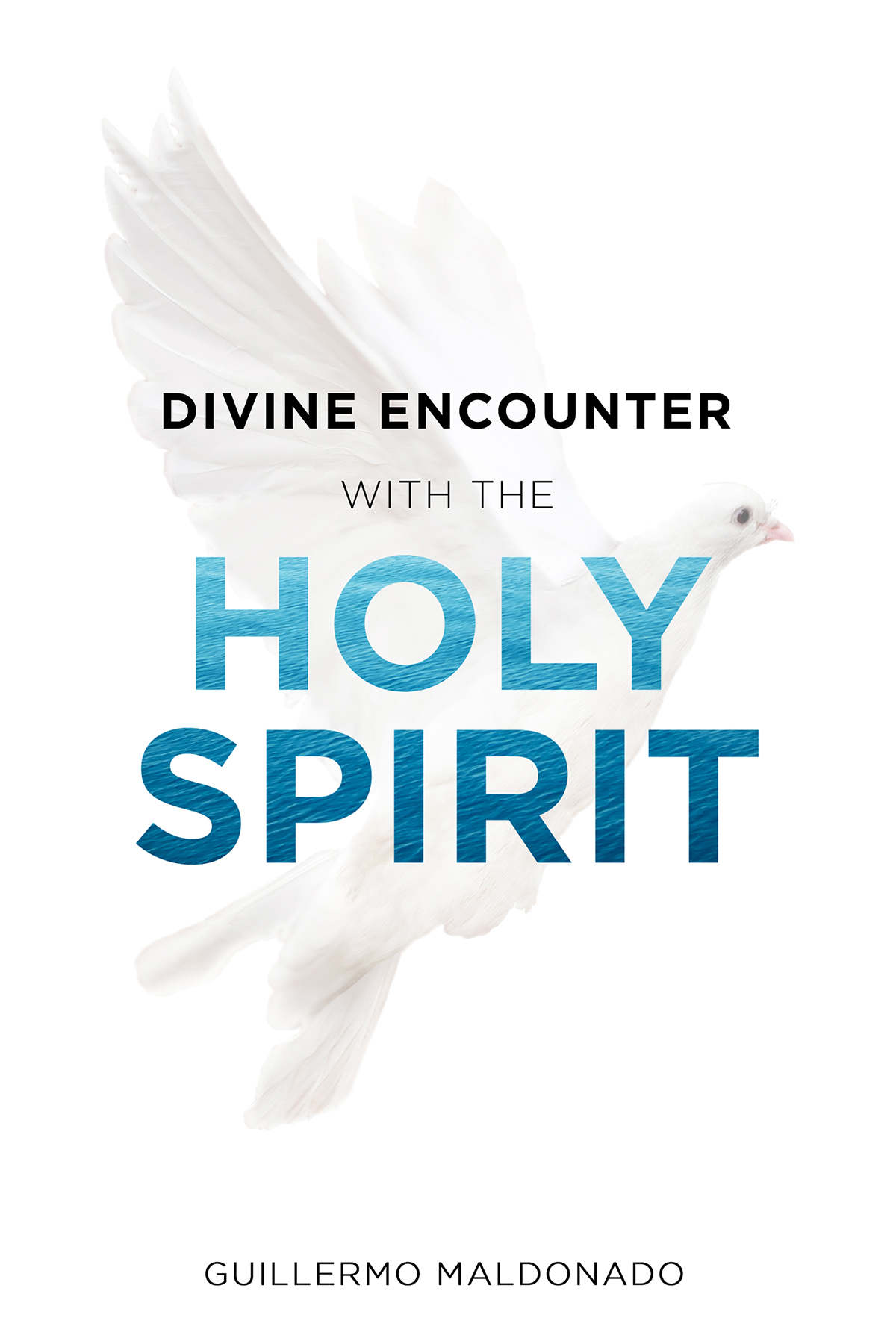 Divine Encounter With the Holy Spirit