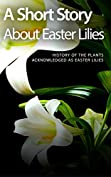 A Short Story About Easter Lilies: History of the Plants Acknowledged as Easter Lilies