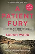 A Patient Fury (DC Childs mystery)