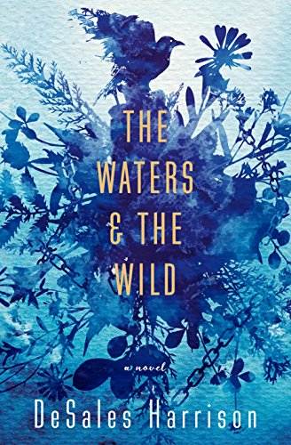 The Waters &amp; The Wild: A Novel