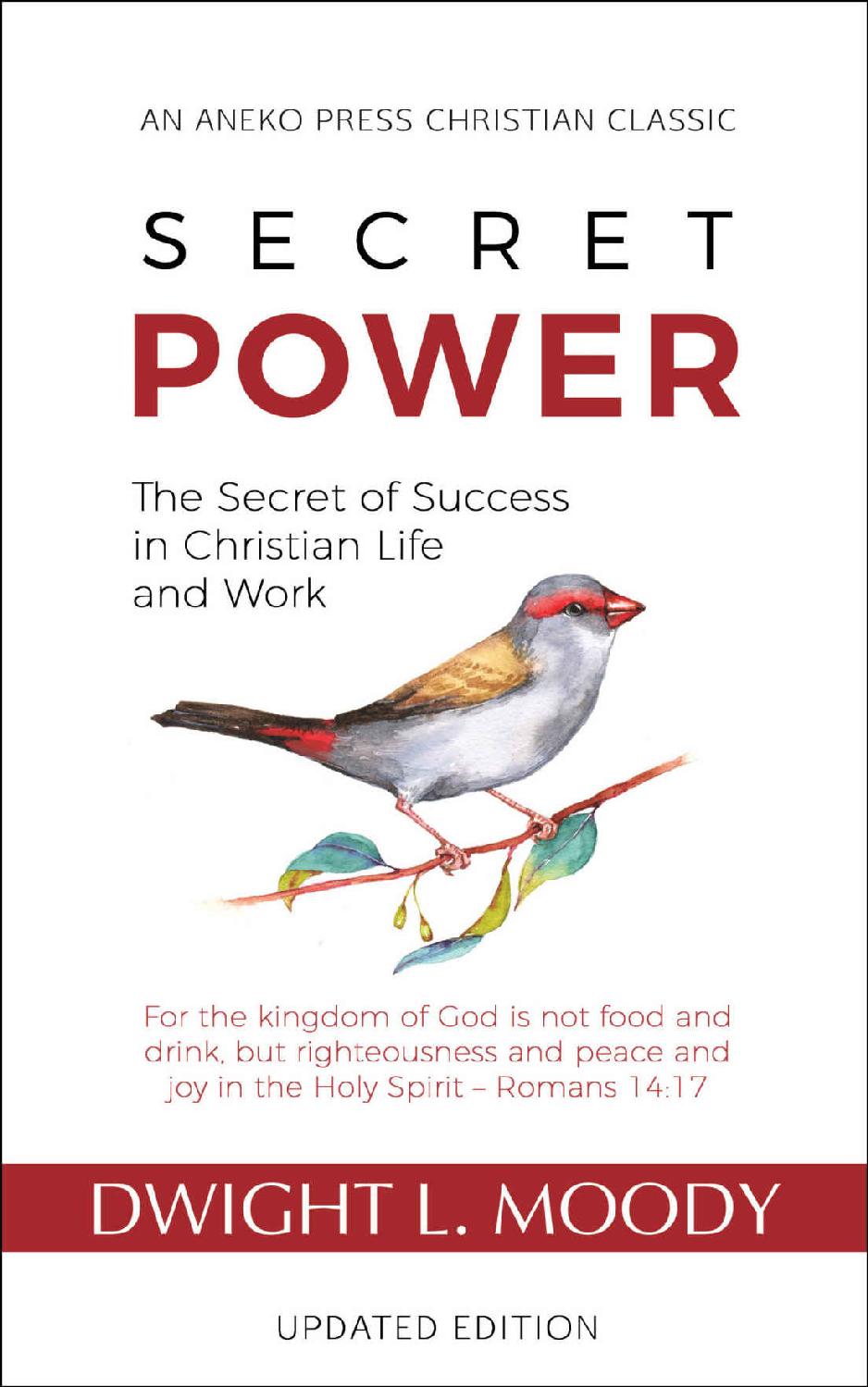 Secret Power - Updated Edition: The Secret of Success in Christian Life and Work