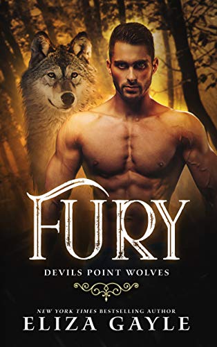 FURY: Paranormal Shape Shifter Romance (Devils Point Wolves Book 6)