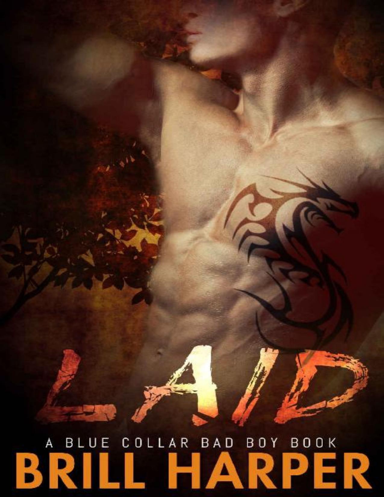 Laid: A Blue Collar Bad Boys Book