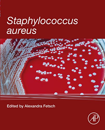 Staphylococcus aureus