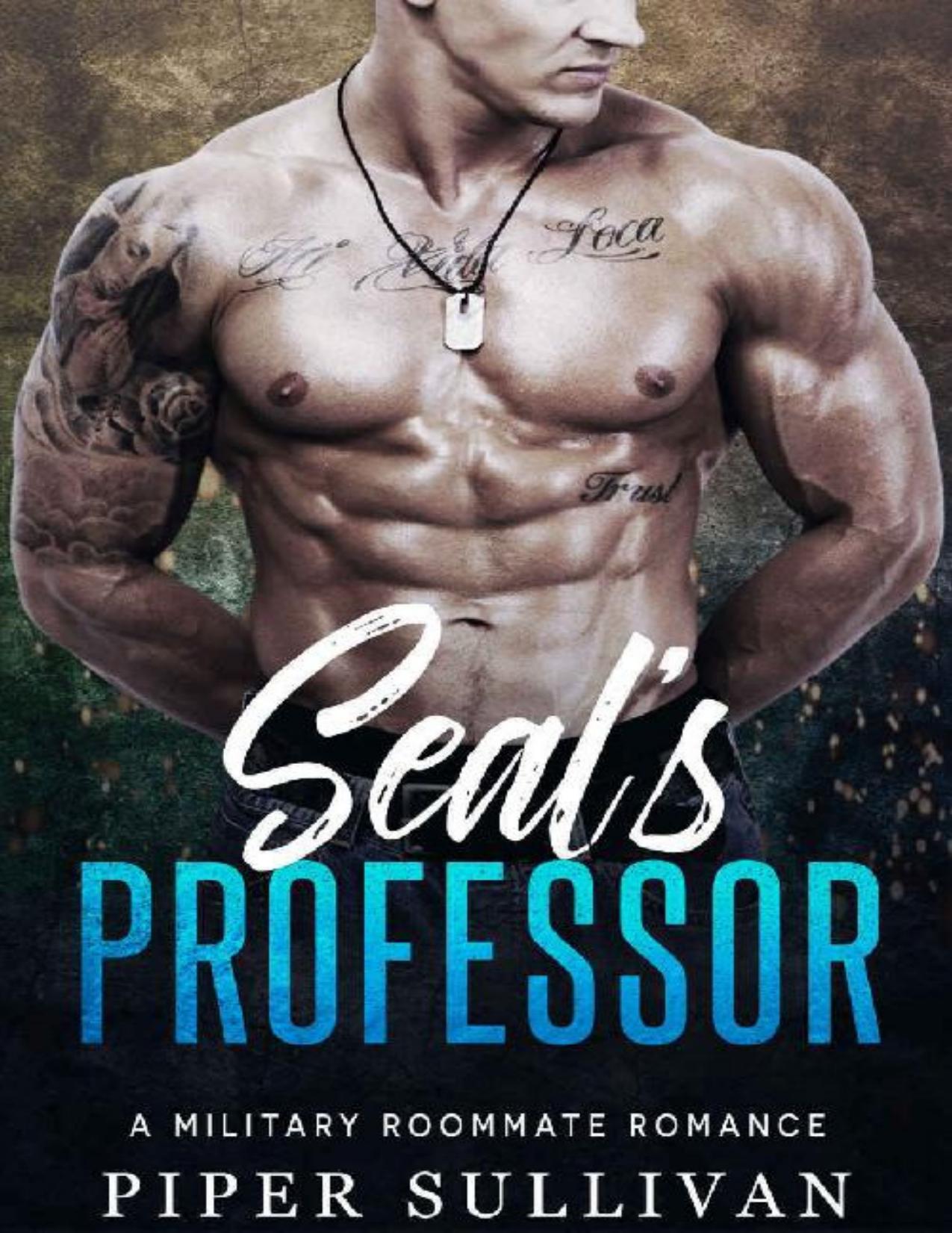 Seal's Professor: A Military Roommate Romance