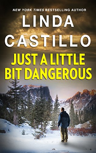 Just a Little Bit Dangerous (Silhouette Intimate Moments Book 1145)