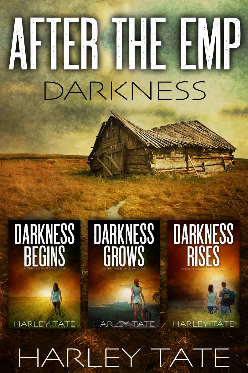 After the EMP: The Darkness Trilogy (EMP Box Set Book 1)