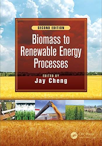 Biomass to Renewable Energy Processes