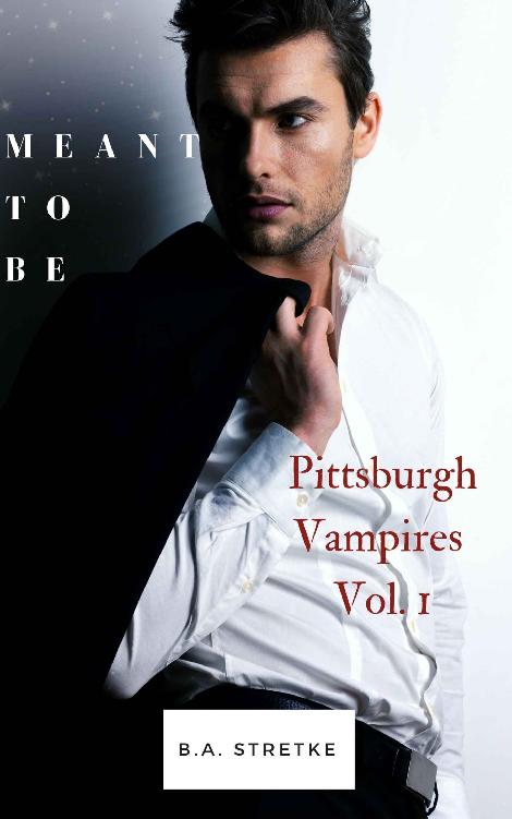 Meant To Be: Pittsburgh Vampires Vol. 1