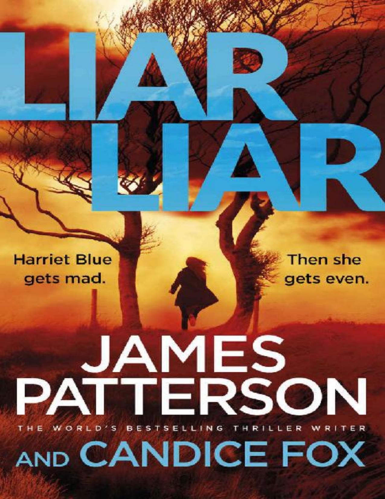 Liar Liar: (Harriet Blue 3) (Detective Harriet Blue Series)