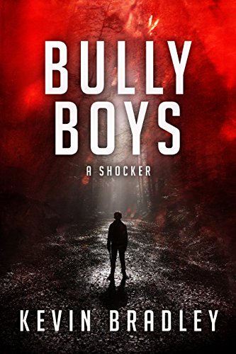 Bully Boys: A horrifying insight into the shocking world of boarding school bullying.