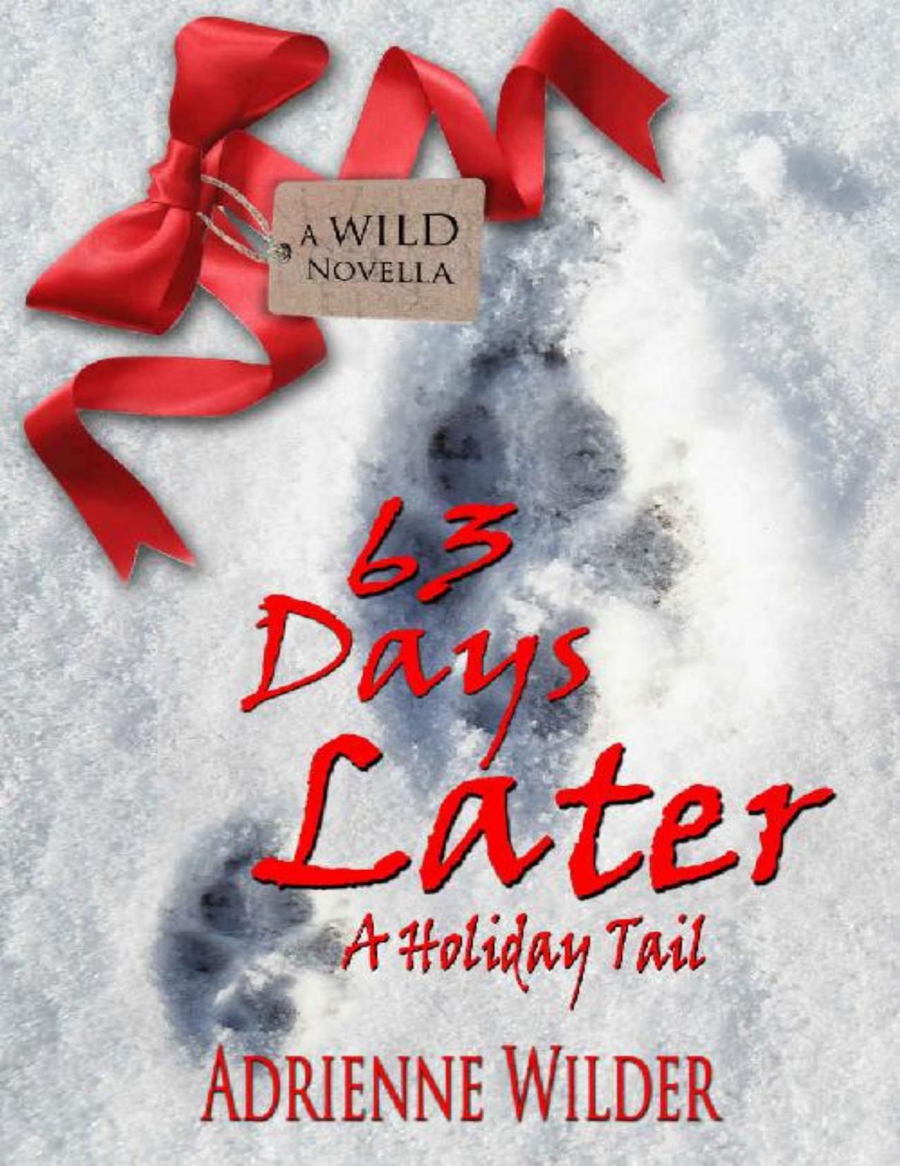 63 Days Later: A Holiday Tail