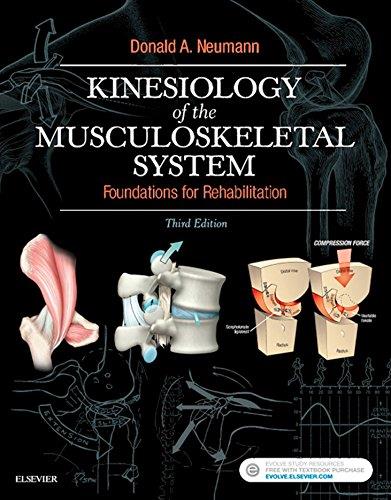 Kinesiology of the Musculoskeletal System - E-Book: Foundations for Rehabilitation