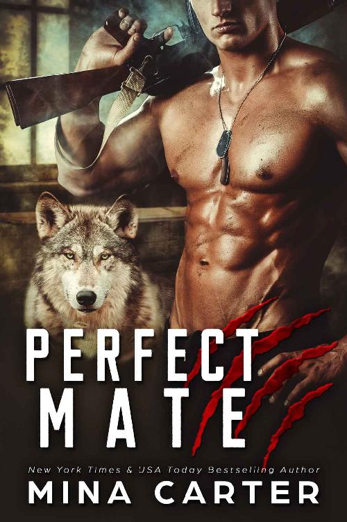 Perfect Mate (Project Rebellion Book 1)