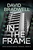 In The Frame: Anna Burgin Series Prequel Mystery Novella