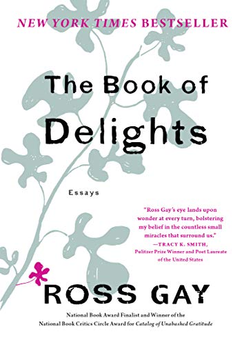 The Book of Delights: Essays