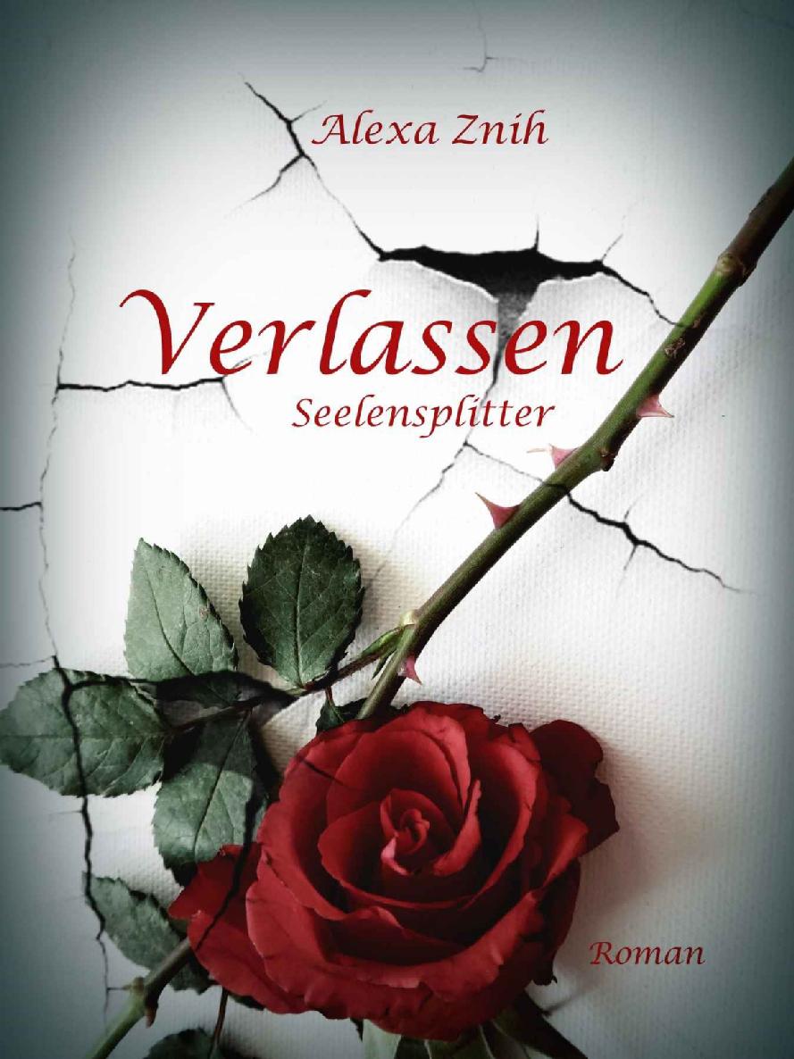 Verlassen: Seelensplitter (German Edition)