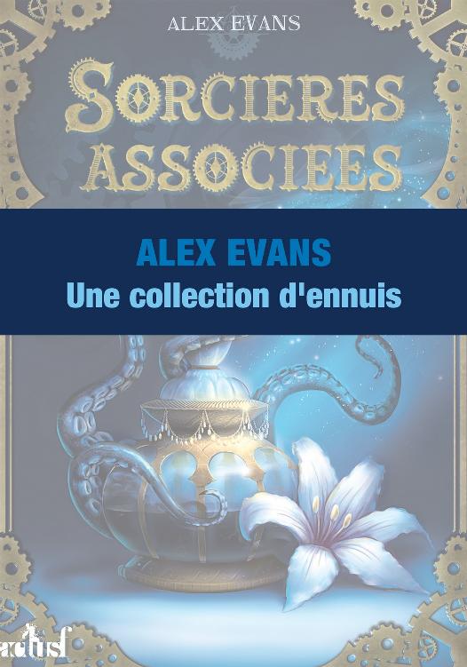 Une collection d'ennuis (French Edition)