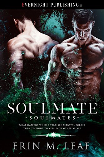 Soulmate (Soulmates Book 1)