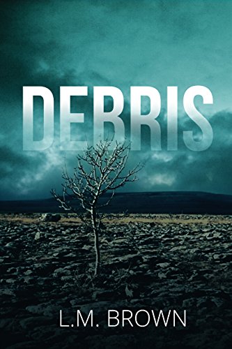 Debris