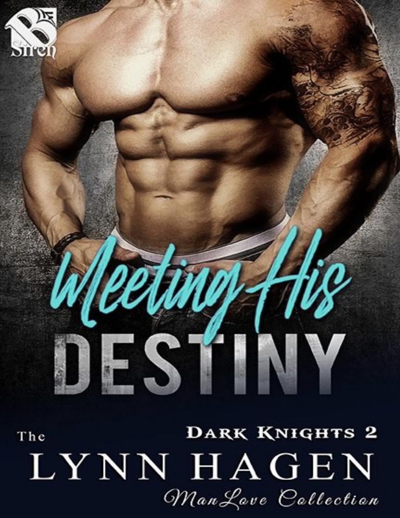 Meeting His Destiny [Dark Knights 2] (Siren Publishing The Lynn Hagen ManLove Collection)