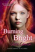 Burning Bright (Going Down in Flames Book 5)