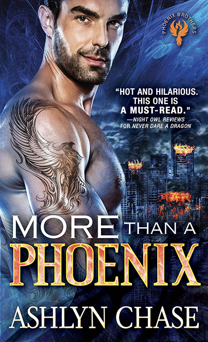 More than a Phoenix (Phoenix Brothers #2)