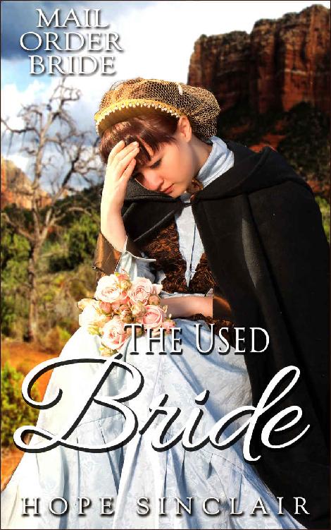 The Used Bride (Mail Order Adventures 16)