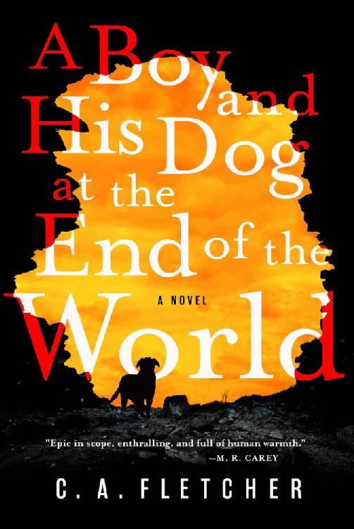 A Boy and His Dog at the End of the World