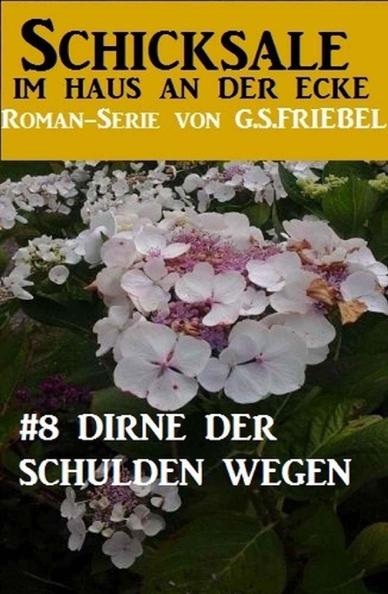 Schicksale im Haus an der Ecke #8: Dirne der Schulden wegen (German Edition)