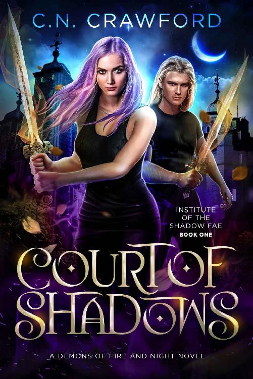 Court of Shadows (Shadow Fae #1)