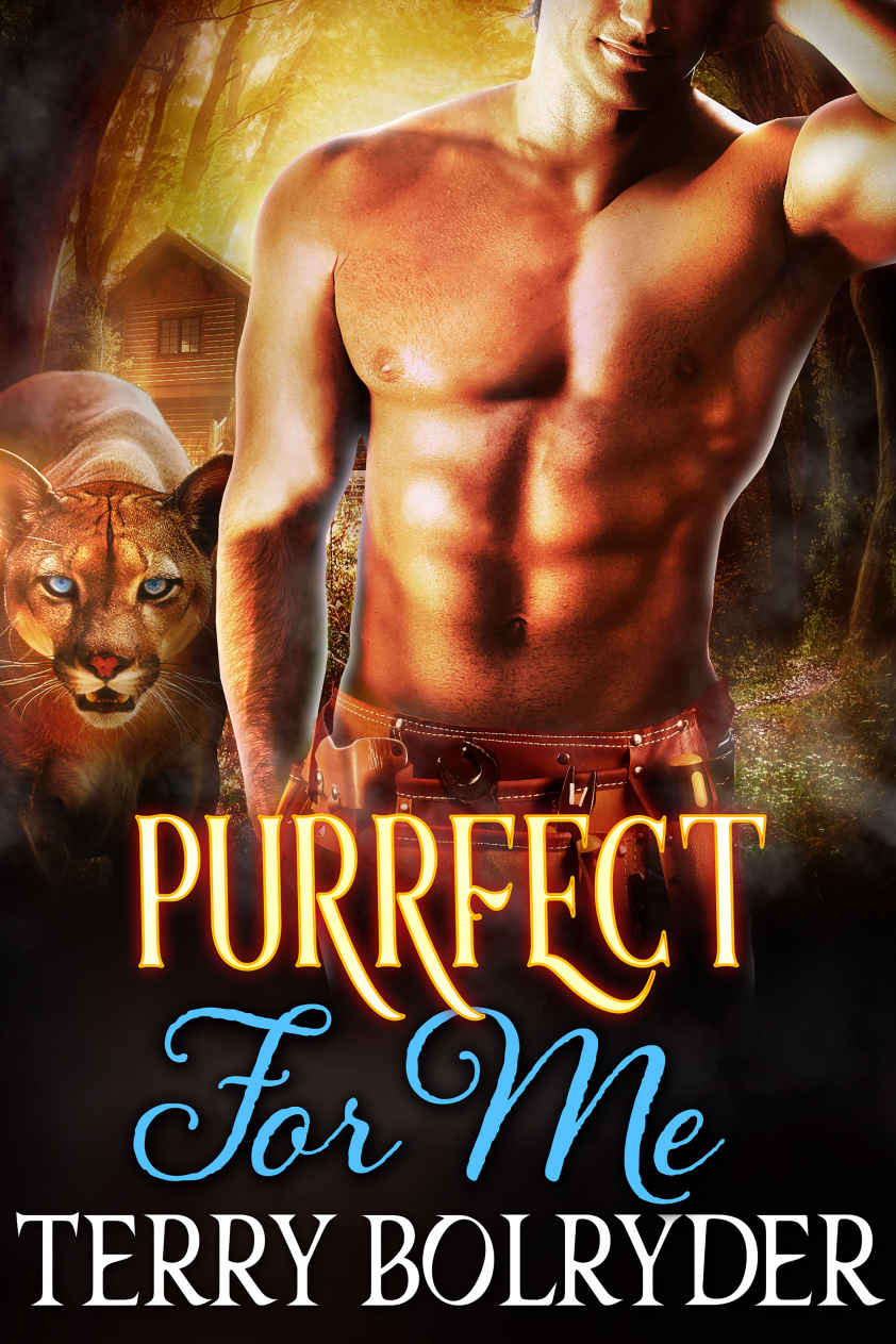 Purrfect for Me (Built Fur Love Book 3)