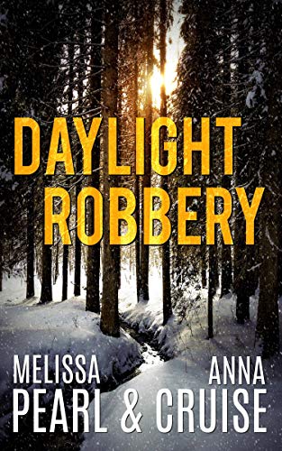 Daylight Robbery (Aspen Falls Novel)