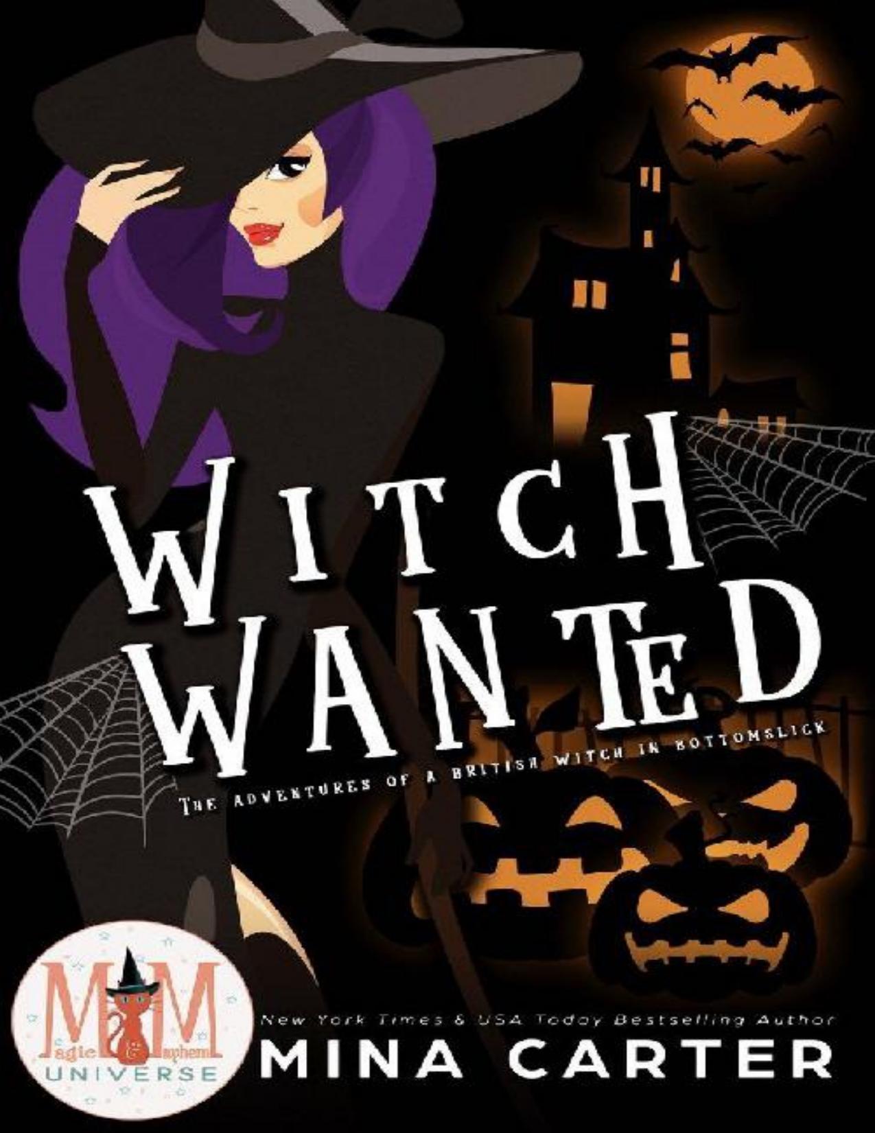 Witch Wanted: Magic and Mayhem Universe (La Fay Chronicles Book 1)