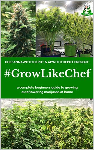 #GROWLIKECHEF: a complete beginners guide to growing autoflowering marijuana at home