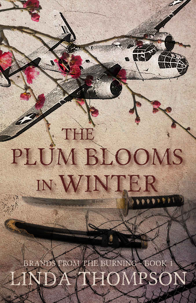 The Plum Blooms In Winter: Inspired by Gripping True Story from World War II’s Daring Doolittle Raid (Brands From the Burning #1)