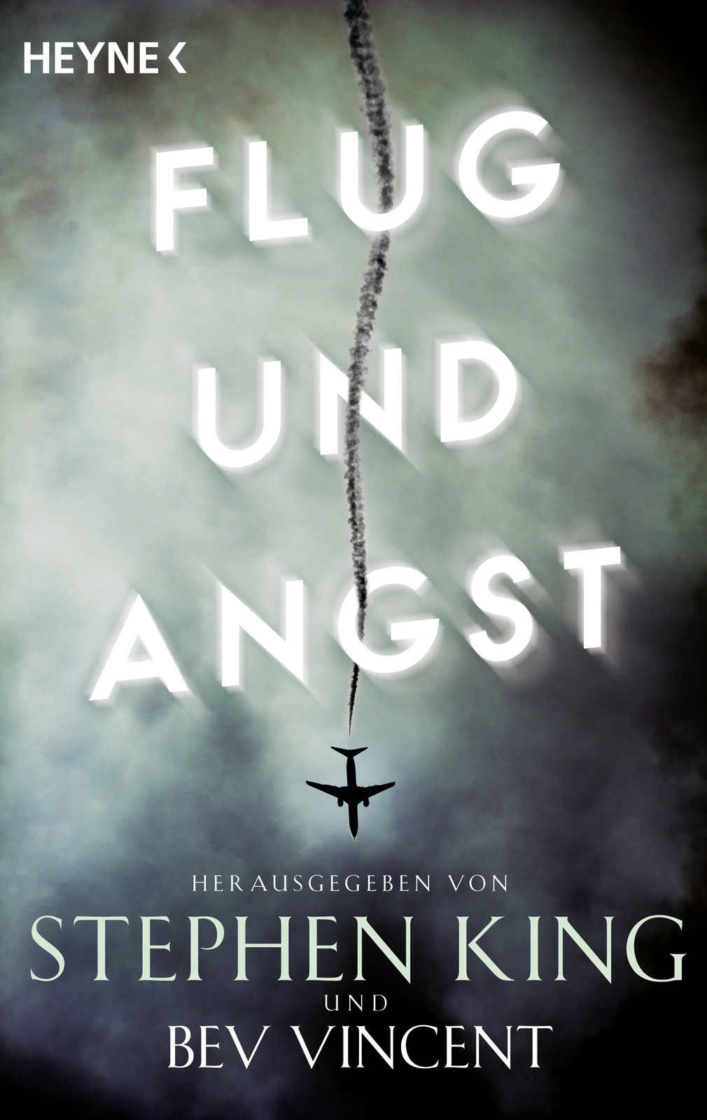 Flug und Angst (German Edition)