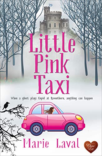 Little Pink Taxi