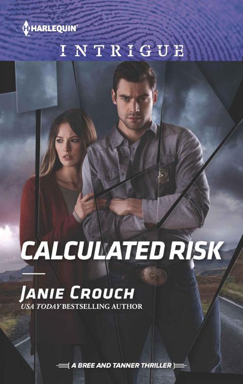 Calculated Risk (The Risk Series: A Bree and Tanner Thriller Book 1)