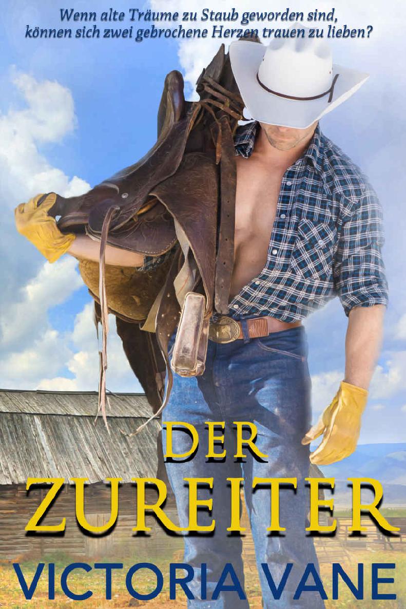 Der Zureiter (Heiße Cowboy-Nächte 2) (German Edition)