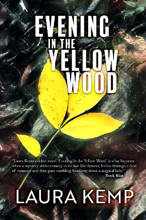 Evening in the Yellow Wood: Yellow Wood Series: Book 1