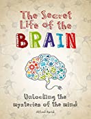 The Secret Life of the Brain