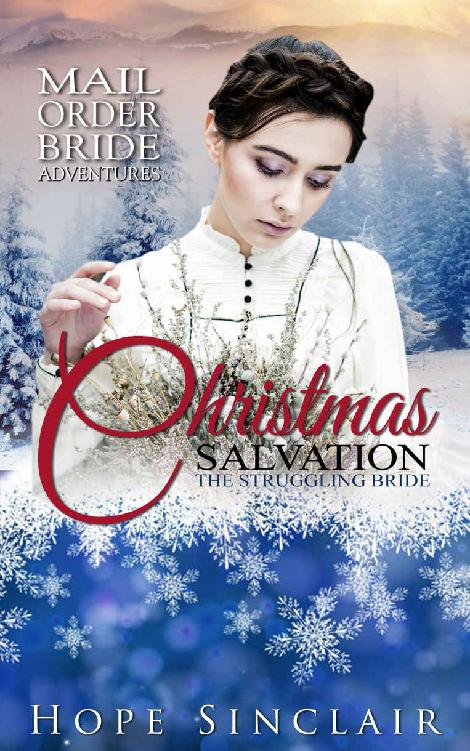 The Struggling Bride (Mail Order Adventures 27 Christmas Salvation 02)