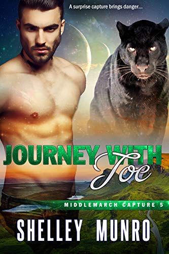 Journey with Joe (Middlemarch Capture Book 5)