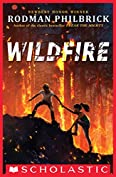 Wildfire: A Novel