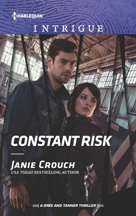 Constant Risk (The Risk Series: Bree & Tanner Book 3)