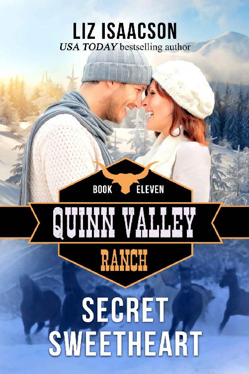 Secret Sweetheart (Quinn Valley Ranch Book 11)