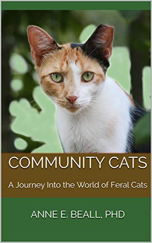 Community Cats: A Journey Into the World of Feral Cats