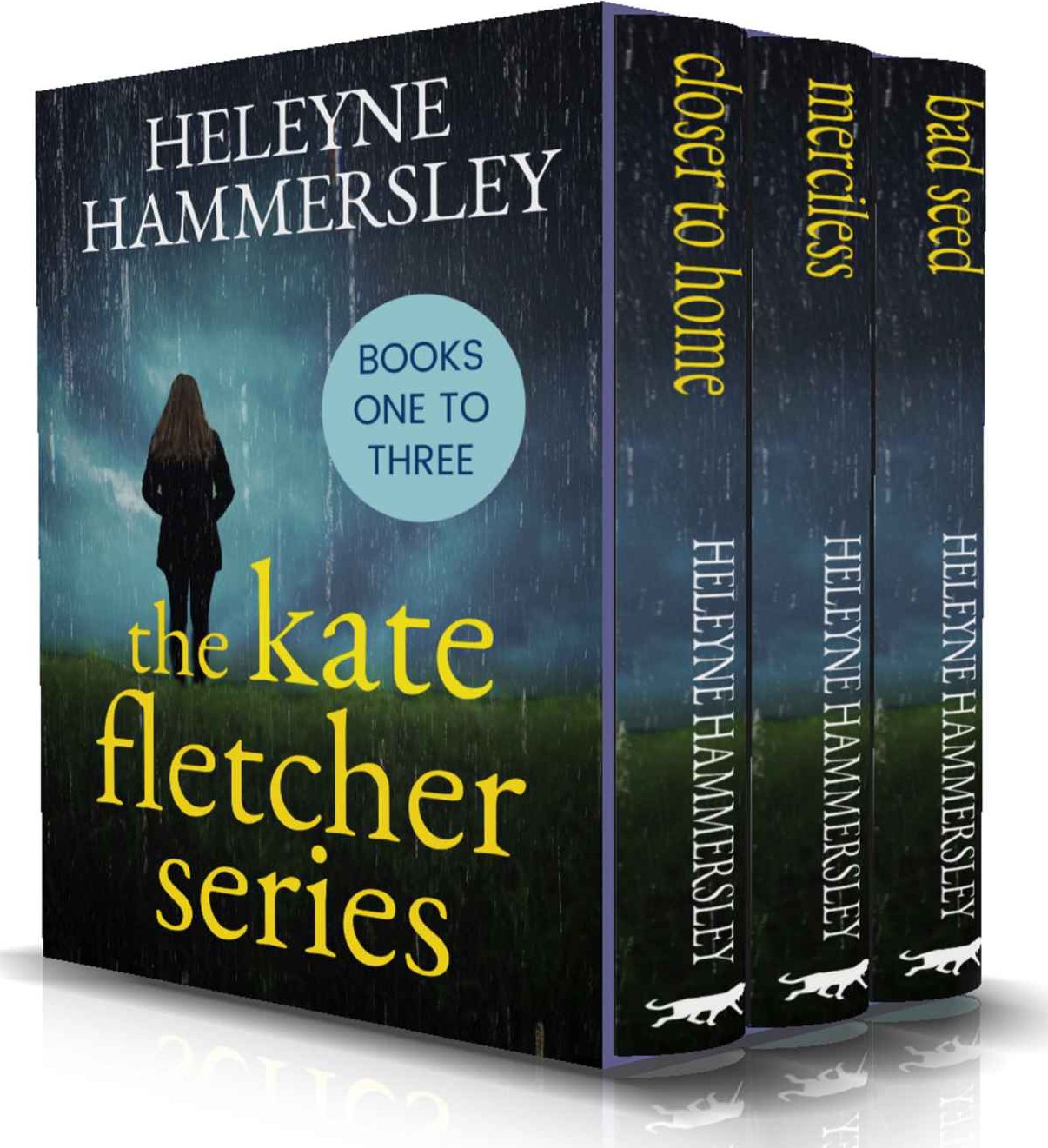 The Kate Fletcher Series